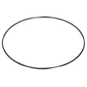 Ap70312 Alliant Power Dpf Inlet/outlet Gasket