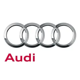 447-253-137 Audi Genuine Catalytic Converter Gasket