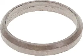 2107-596573 Autopart International Exhaust Pipe Flange Gasket-oes Intl