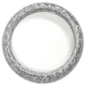 256-304 Brexhaust Exhaust Pipe Flange Gasket P N 256 304