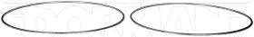 67dv605 Dorman Dpf Gasket For 2011 2013-2018 Freightliner Sport Chassis