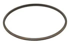 226.791 Elring Exhaust Pipe Seal