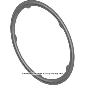 55494570 Gm Genuine Catalytic Converter Gasket
