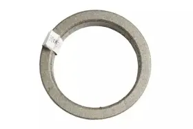 23250077 Gm Genuine Parts Catalytic Converter Gasket
