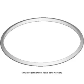 55569496 Gm Genuine Parts Catalytic Converter Seal 55569496 Gm Genuine Parts Catalytic Converter Seal
