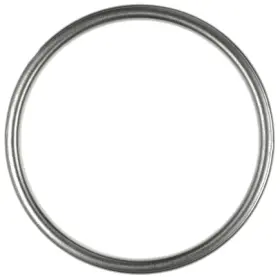 F10091 Mahle Exhaust Pipe Flange Gasket For