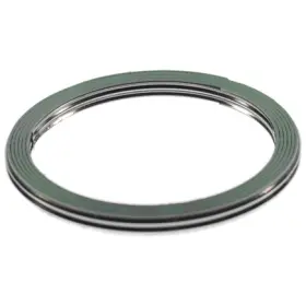 F32439 Mahle Catalytic Converter Gasket For