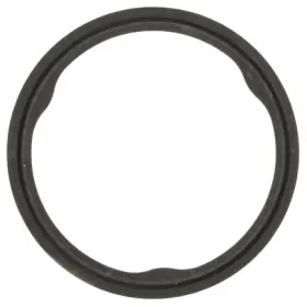 F32636 Mahle Catalytic Converter Gasket For