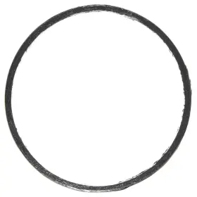 F32913 Mahle Exhaust Pipe Flange Gasket-vin 1
