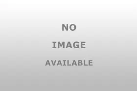 13295 Nickson 1 Metal Gasket W Seal Ring