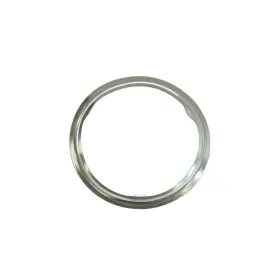 Erg18307793678-2z8 Rareelectrical Diesel Particulate Filter Gasket 2009-2013 Bmw 335d X5 3.0l 6 Cyl Erg18307793678