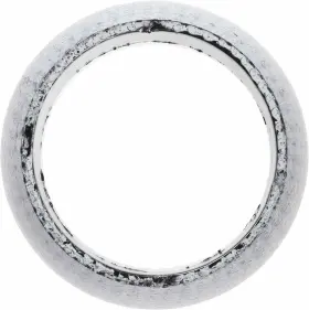 71-14449-00 Reinz For Chrysler/dodge 2007-2016 Exhaust Pipe Flange Gasket 1 Year Warranty