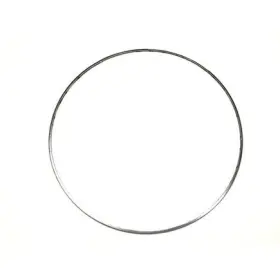 X1900-c0002-01 Roadwarrior Gasket For Diesel Particulate Filter Dpf /