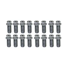 Sp9827 Tsp Sp9826 Chevy 396 402 454 Chrome Plated Header Bolts