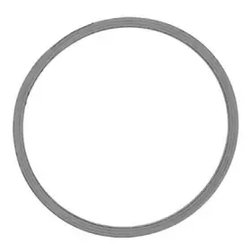 F7454 Victor Catalytic Converter Ring