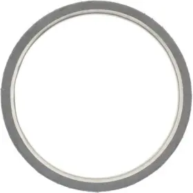 71-12140-00 Victor Reinz Gaskets Catalytic Converter Gasket