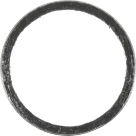 71-13619-00 Victor Reinz Gaskets Exhaust Pipe Flange Gasket
