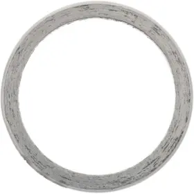 Victor Reinz 71-13634-00 Gaskets Exhaust Pipe Flange Gasket