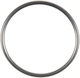 71-13681-00 Victor Reinz Exhaust Pipe Flange Gasket