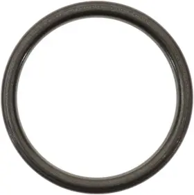 71-15135-00 Victor Reinz Exhaust Pipe Flange Gasket
