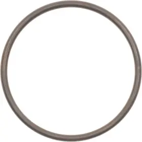 Victor Reinz 71-15375-00 Gaskets Exhaust Pipe Flange Gasket