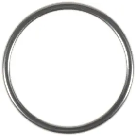 71-15377-00 Victor Reinz Gaskets Exhaust Pipe Flange Gasket