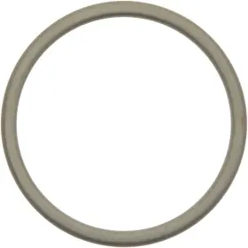 71-15623-00 Victor Reinz Catalytic Converter Gasket Fits 1987-1991 Sterling 827 825