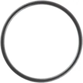 71-15747-00 Victor Reinz Exhaust Pipe Flange Gasket