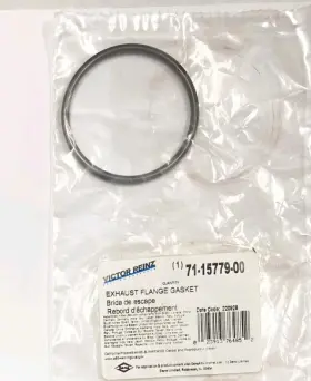71-15779-00 Victor Reinz Catalytic Converter Gasket For Acura Honda Various #c1