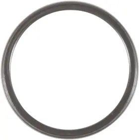 71-52303-00 Victor Reinz Exhaust Pipe Flange Gasket