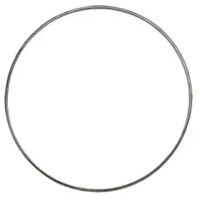 Wa133dpfg0045 World American Dpf Gasket