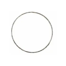 Wa133dpfg0480 World American Dpf Gasket