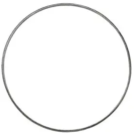 Wa133dpfg1145 World American Dpf Gasket