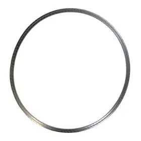 Wa133dpfg1772 World American Dpf Gasket