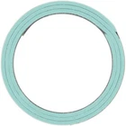 Victor Reinz Gaskets 71-13202-00 Exhaust Pipe Flange New. Price: $22.80.