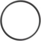 Victor Reinz Gaskets 71-15747-00 Exhaust Pipe Flange New. Price: $22.02.
