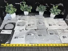 22 Qty! Bulk- Walker Exhaust Pipe Flange Gasket 31386 31613 31384 31337 31618 New. Price: $225.00.