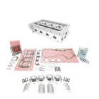 Piston Set + Gasket Bearings Bolts Zk For Vw 1.6 Fsi Bag Blf Blp 03C10306 Neu. Price: $1385.09.