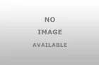 Nickson 13661 Metal Gasket New. Price: $16.90.