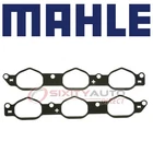 Mahle Intake Manifold Gasket Set For 2007-2008 Freightliner 2500 3500 Oe New. Price: $28.49.
