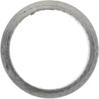Victor Reinz Gaskets 71-13610-00 Exhaust Pipe Flange New. Price: $20.55.